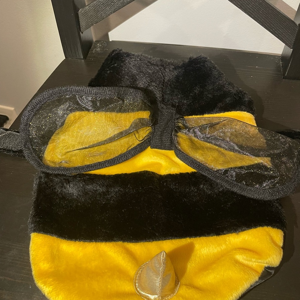 Small dog Bumblebee Costume